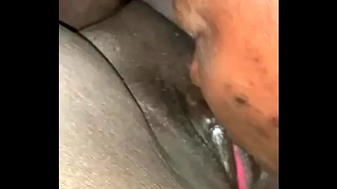Black Ebony Pussy Licking - Facesitting Bbw